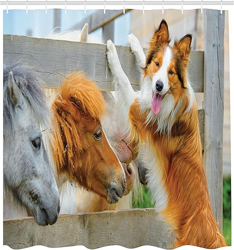 Miniatura 2 de Ambesonne Cortina de ducha de naturaleza, Pony y Border Collie Dog están saliendo con la naturaleza temática de compañerismo de amistad, Juego de