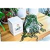 Product Photo 9