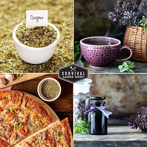 Miniatura 6 de Survival Garden Seeds - Semilla de orégano para plantar - Empacar con instrucciones para plantar y cultivar en hierbas de Origanum Vulgare en tu