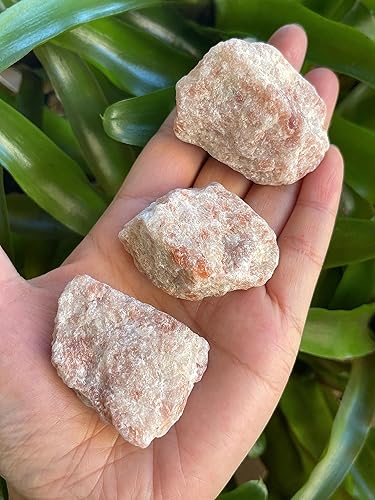 Vista 229 de GAF TREASURES Cristales de rosa del desierto crudos al por mayor, piedra natural de rosa del desierto, cristales naturales de rosa del desierto