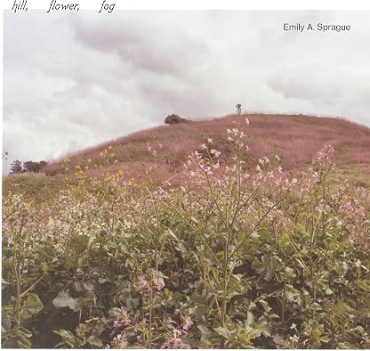 Hill, Flower, Fog - Foggy White por Emily A. Sprague, capa do álbum