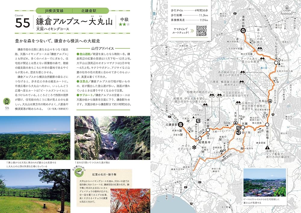 ハイグレ-ド・ハイキング 東京周辺 初版 東京近郊の入門山ハイク ハイグレ-ド・ハイキング 東京周辺 初版 東京近郊の入門山ハイク