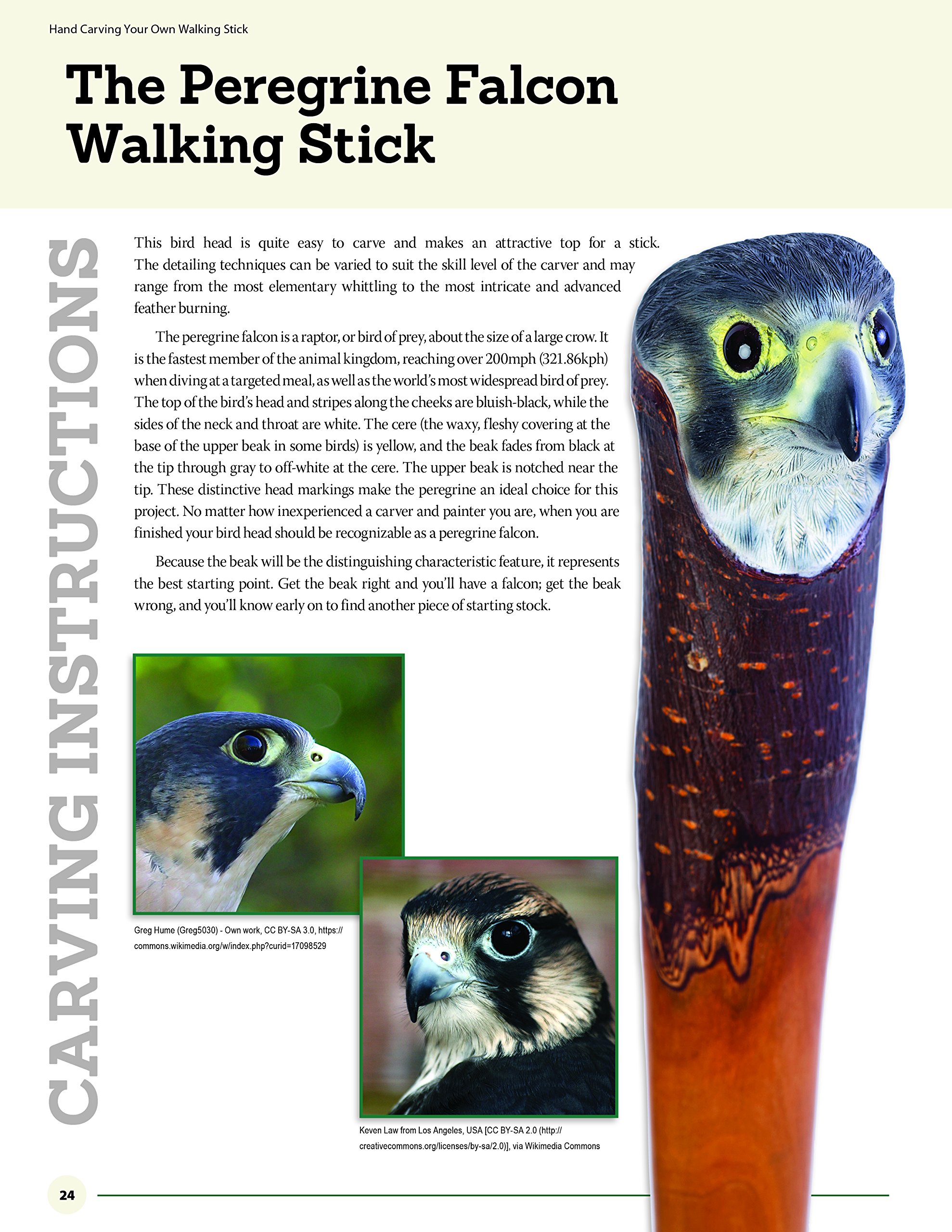 Hand Carving Your Own Walking Stick: An Art Form (Fox Chapel Publishing) Step-by-Step Instructions to Make Artisan-Quality Sticks, Canes, & Staffs (Staves), Including Realistic Snakes & Finishing - Image 7