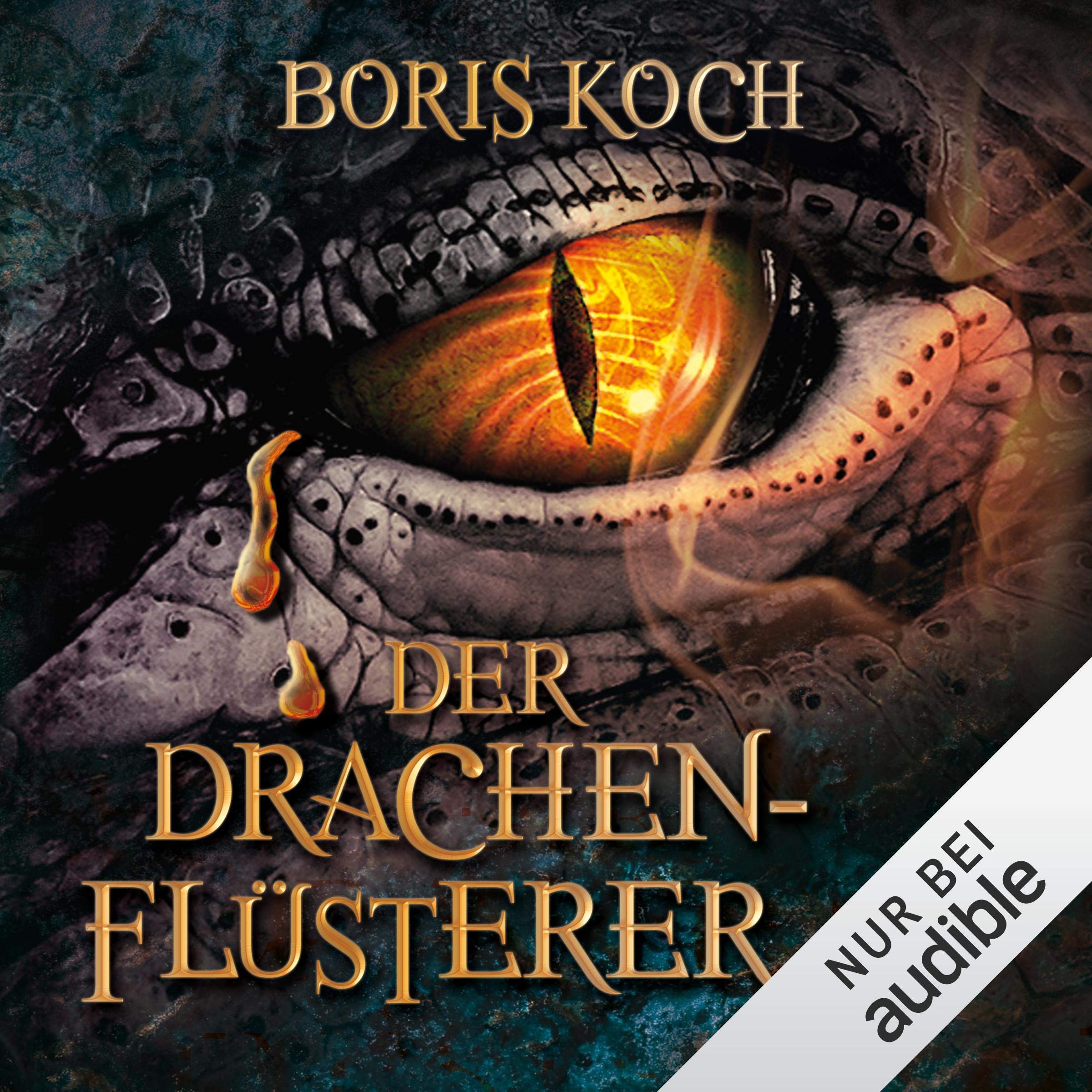 Cover art for Der Drachenflüsterer