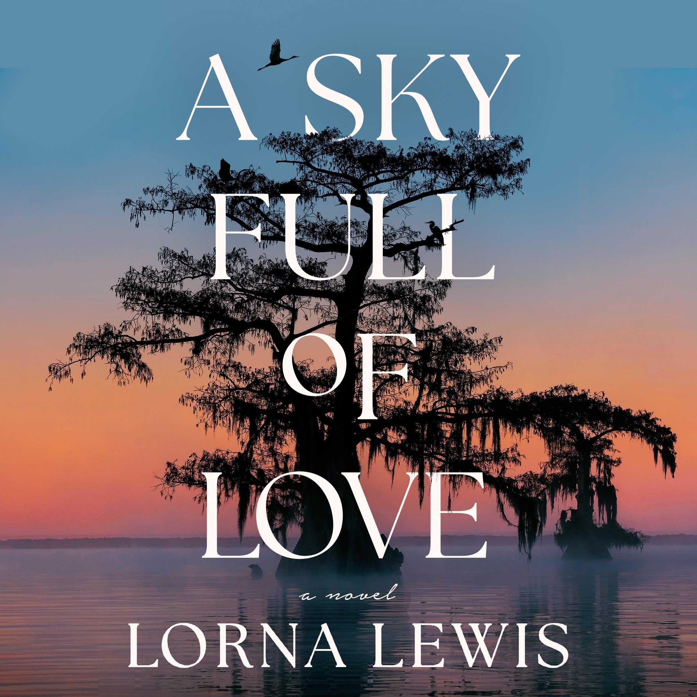 Cover art for A Sky Full of Love