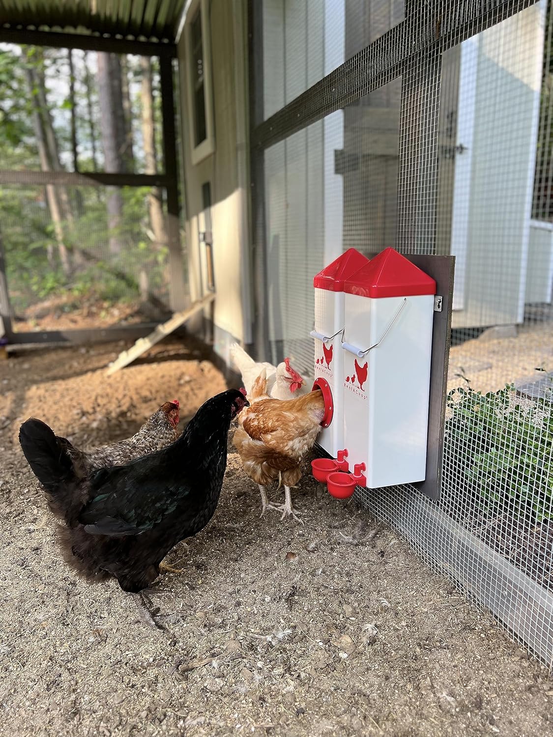 RentACoop Twin Cup Chicken Waterer and Feeder Set - 10lbs/2 Gal