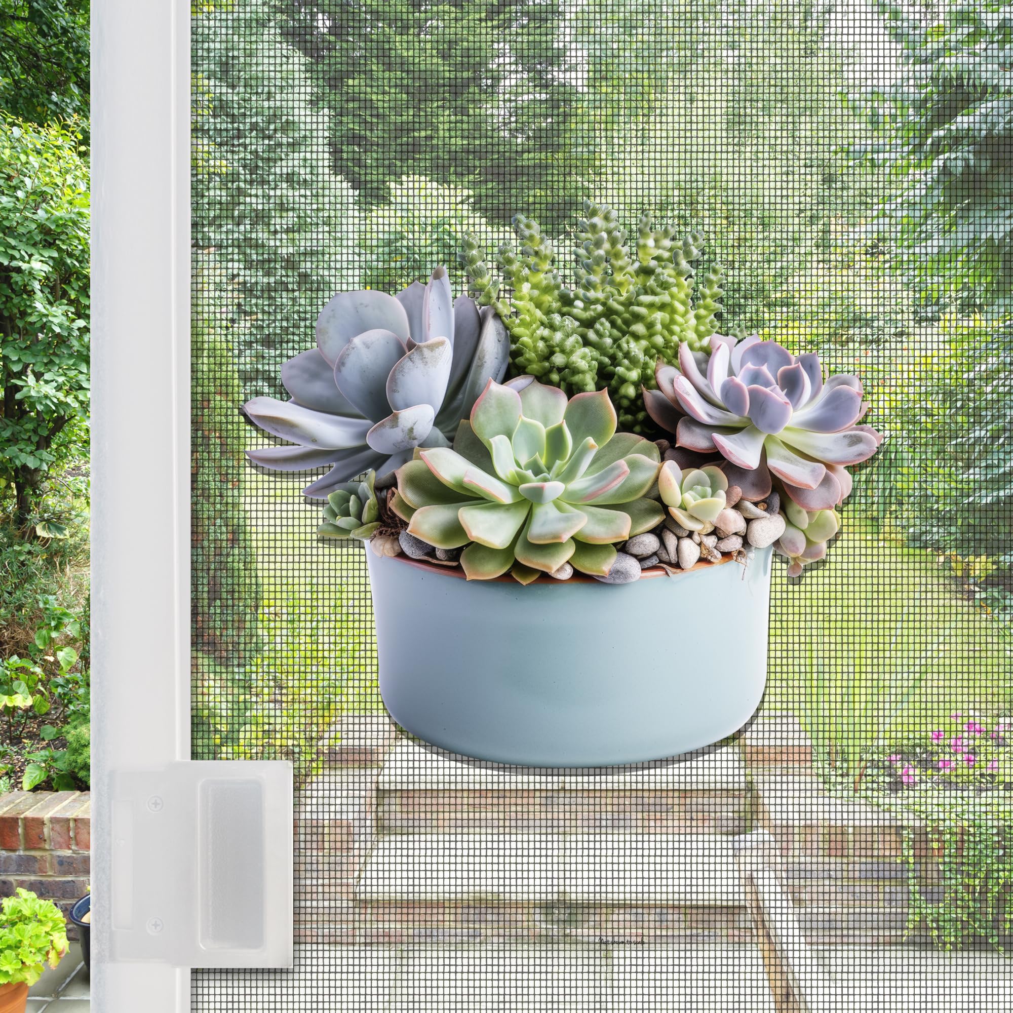 Magnetic Acrylic Signs & Decorations for Screen Doors & Windows | Anti-Collision Screen Magnets | 9” x 8” - Succulents (Set of 2)