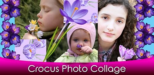 Crocus Photo Collage