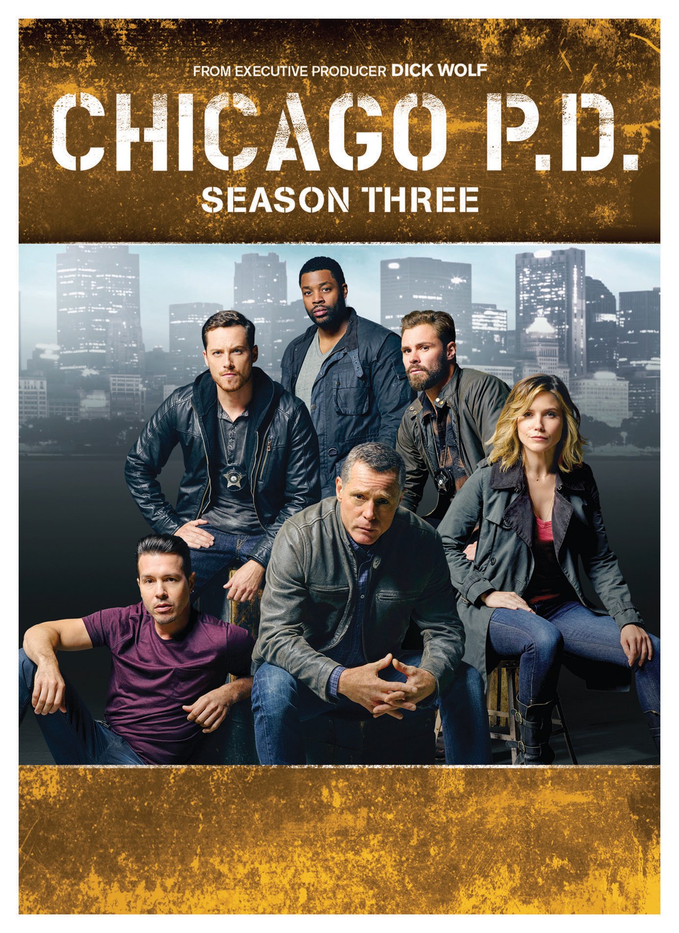 Chicago P.D.: Season Three [DVD] [DVD]