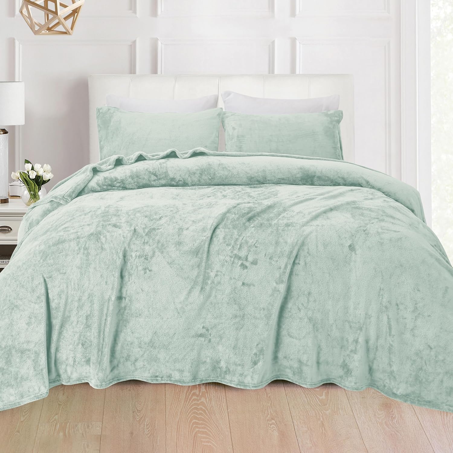 Elegant Comfort Luxuriously Soft 4-Piece Velvet Plush Flannel Sheet Set - Premium Quality - Cozy Warm, Anti-Static, Non Pilling Fuzzy Velvet Flannel Fleece Deep Pocket Sheet Set - Queen, Mint Green