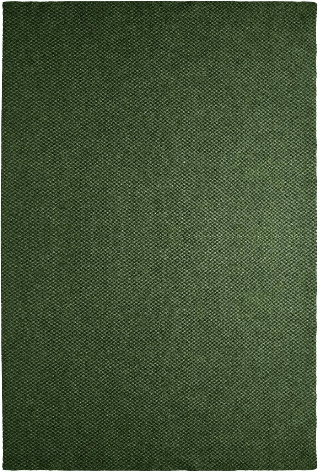 iCustomRug Affordable Indoor/Outdoor All Purpose Utility Loop Pile Carpet with Marine Backing Multi Use Carpet for Patio Porch Deck Boat Basement Garage 12' X 24' in Green