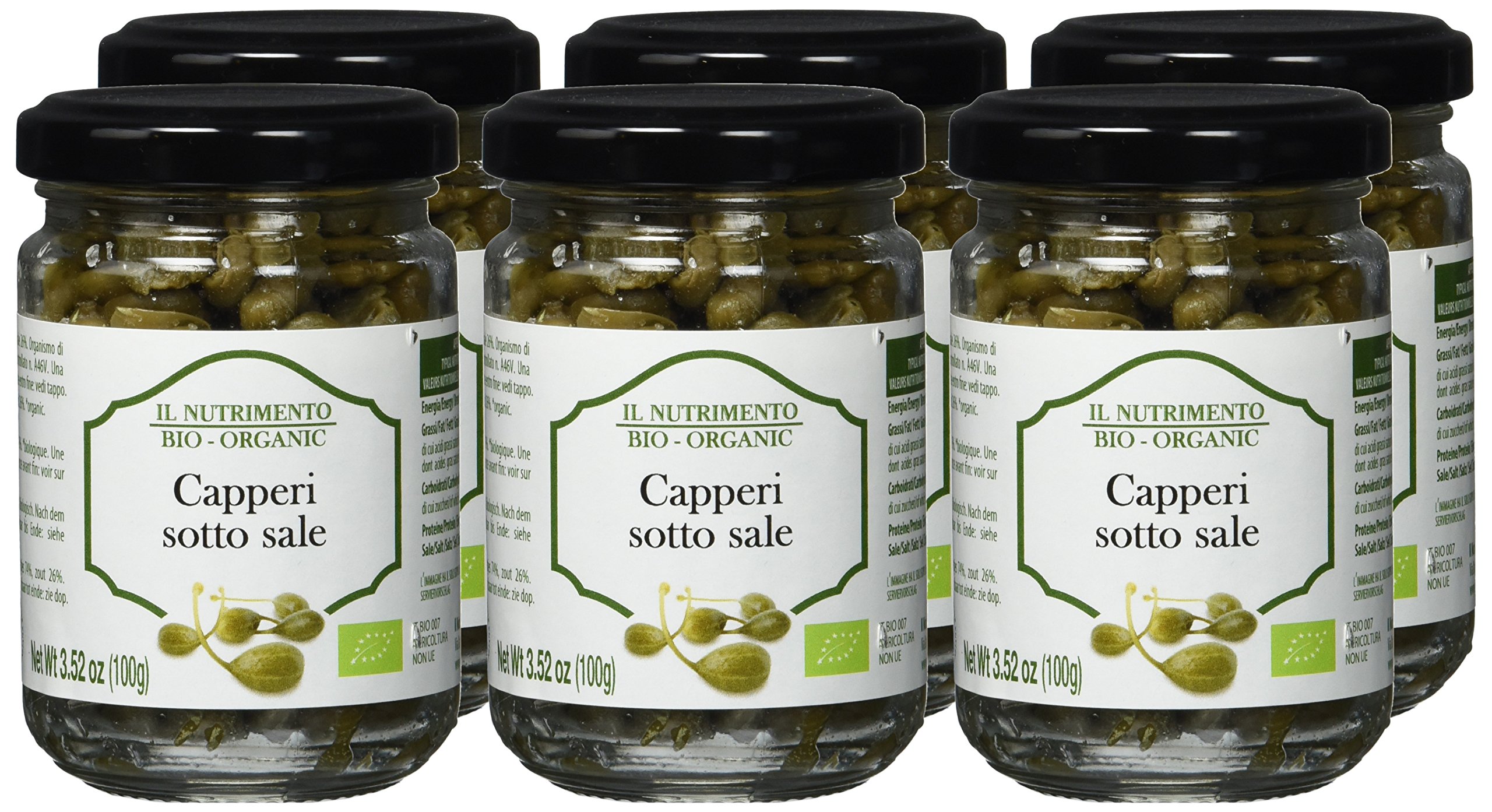 IL NUTRIMENTO Kapern in Meersalz – Handgeerntet und natürlich konserviert – Bio und vegan – 6er Pack (6 x 100 g)