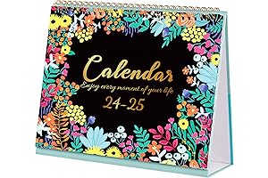 2024-2025 Stand Up Desktop Calendar, 9.8 x 8.3 Inch Standing Flip Calendar,...