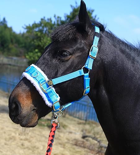 Miniatura 2 de T TEKE Lunge Cavesson con banda de nariz y corona con forro polar