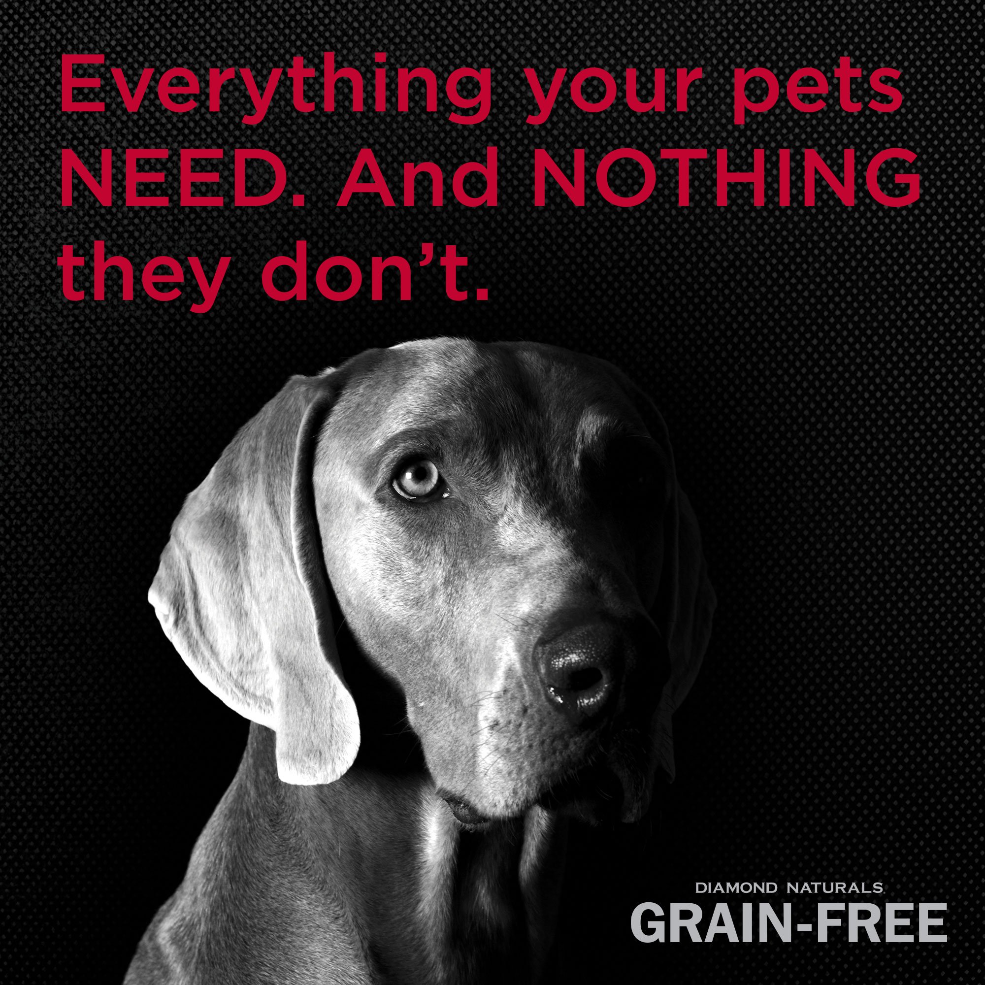 diamond naturals dog food amazon