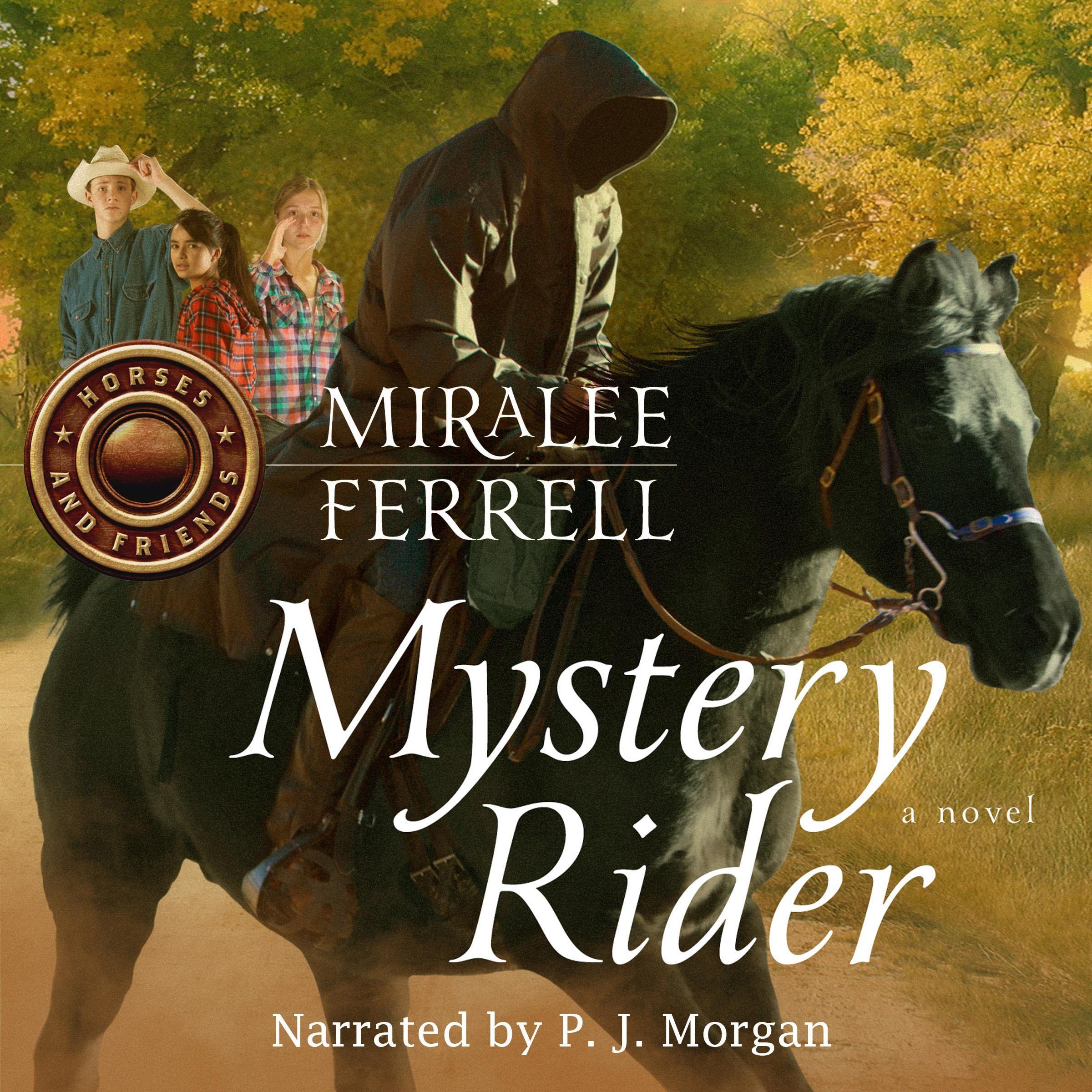 Cover art for Mystery Rider
