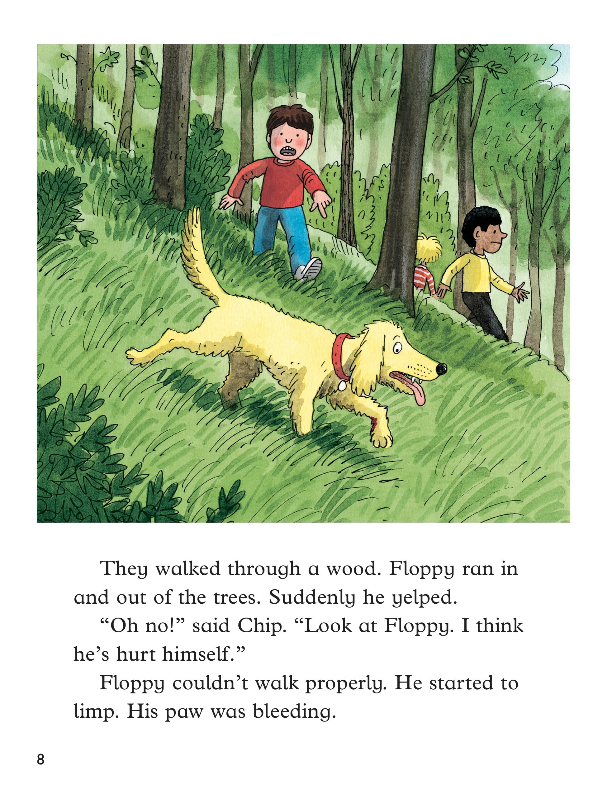 Oxford Reading Tree: Biff, Chip and Kipper Stories: Oxford Level 9: Mixed Pack 5