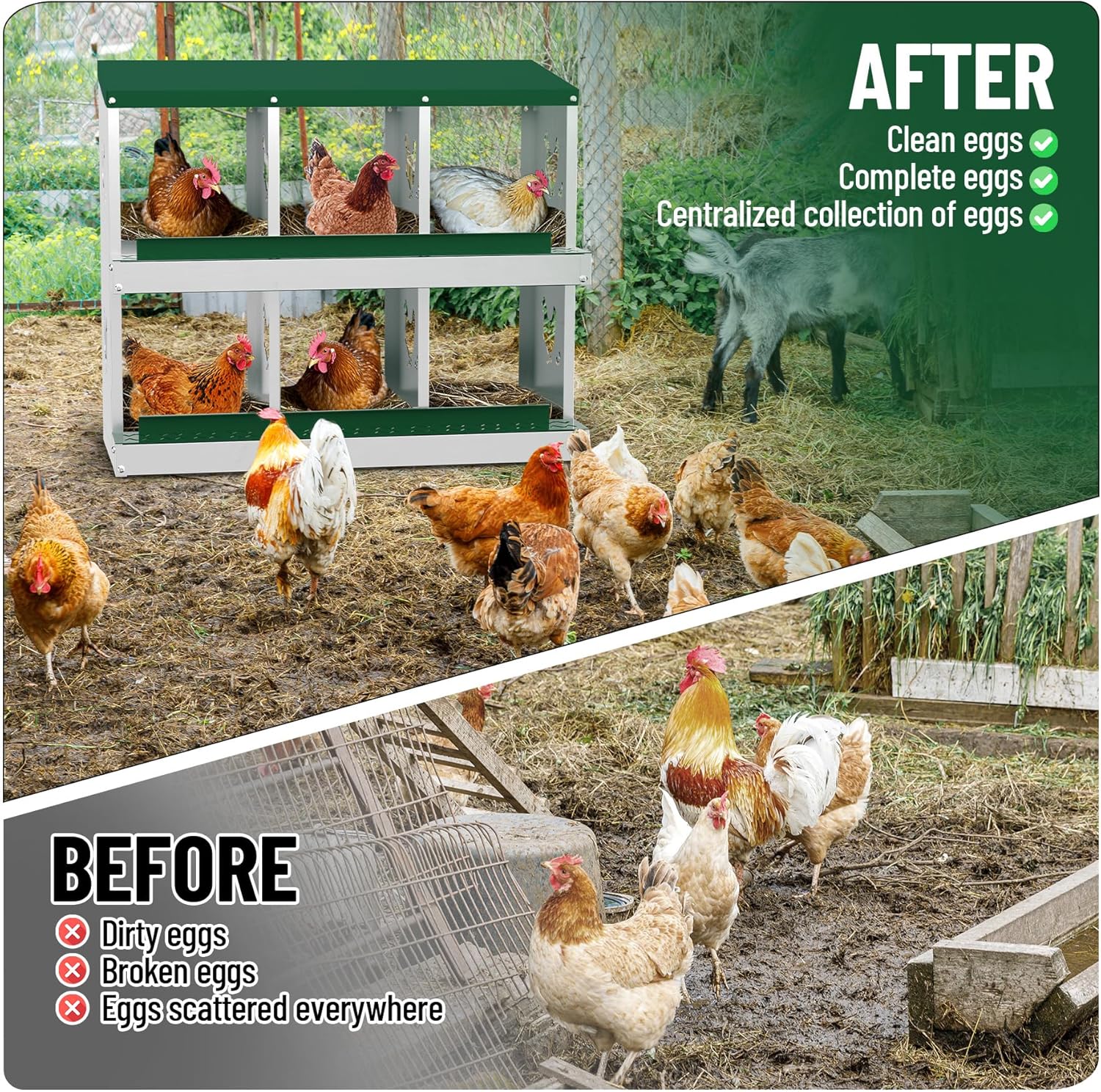 6/8/10 Holes Chicken Nesting Box Coop Chicken Egg Laying Boxes Egg Collection - Picture 61 of 85