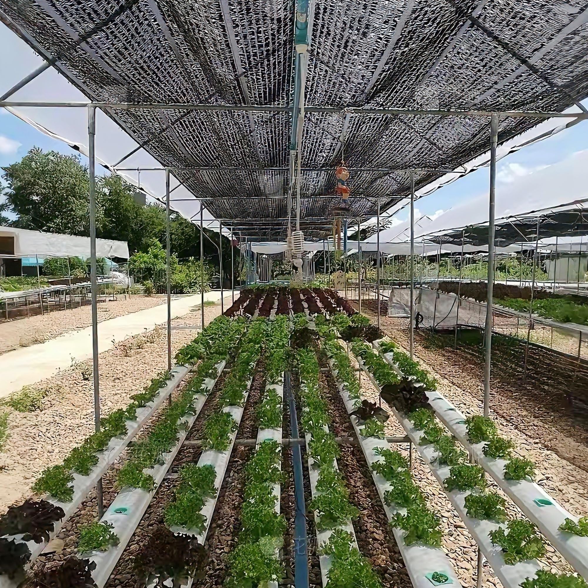 Amazon.com : winemana Black Shade Cloth 70%, 30x50 FT Mesh Tarp