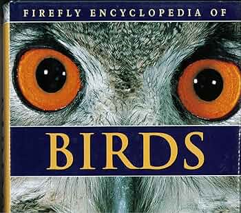Oxford英語絵本170冊 songbirds Fireflies 多読 Oxford英語絵本170冊 songbirds Fireflies 多読 Oxford英語絵本