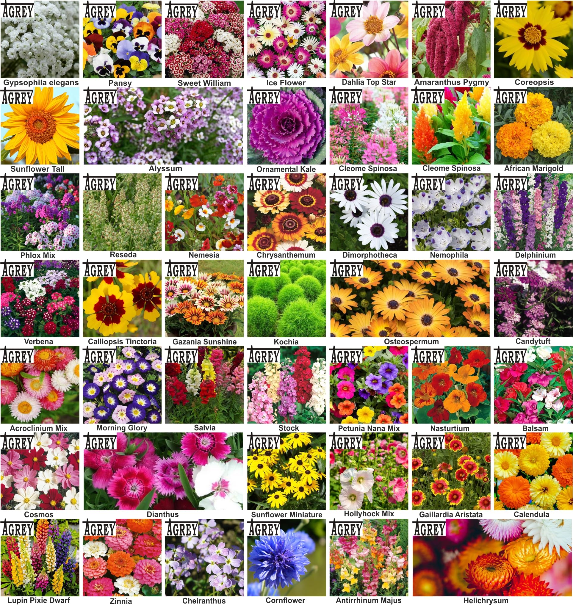 See full amazon price history chart for Agrey combo of 45 variety flower seeds with manual. Agrey combo of 45 variety flower seeds with manual. (B0CSWRM9QY) Amazon Price History, Amazon Price Tracker