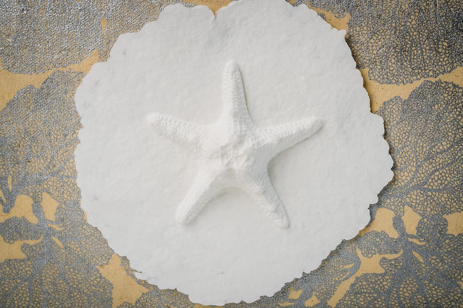 Earth Memorials The Favorite Place Biodegradable Urn for Human Ashes, Small Starfish Urn Box with Silver Coral - Image 2