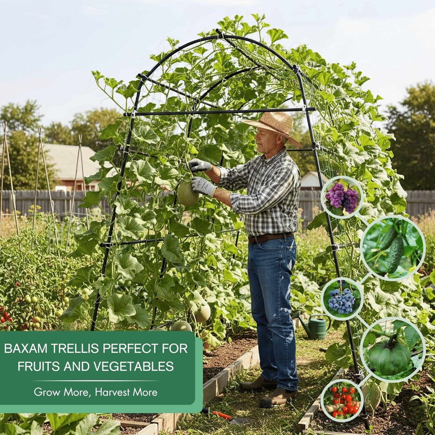 7ft garden arch trellis for climbing plants outdoor-heavy duty metal cucumber trellis for raised beds- tall steel vegetable arbor with strong bolt assembly & outdoor-ready stakes black 71"l×70"w×82"h