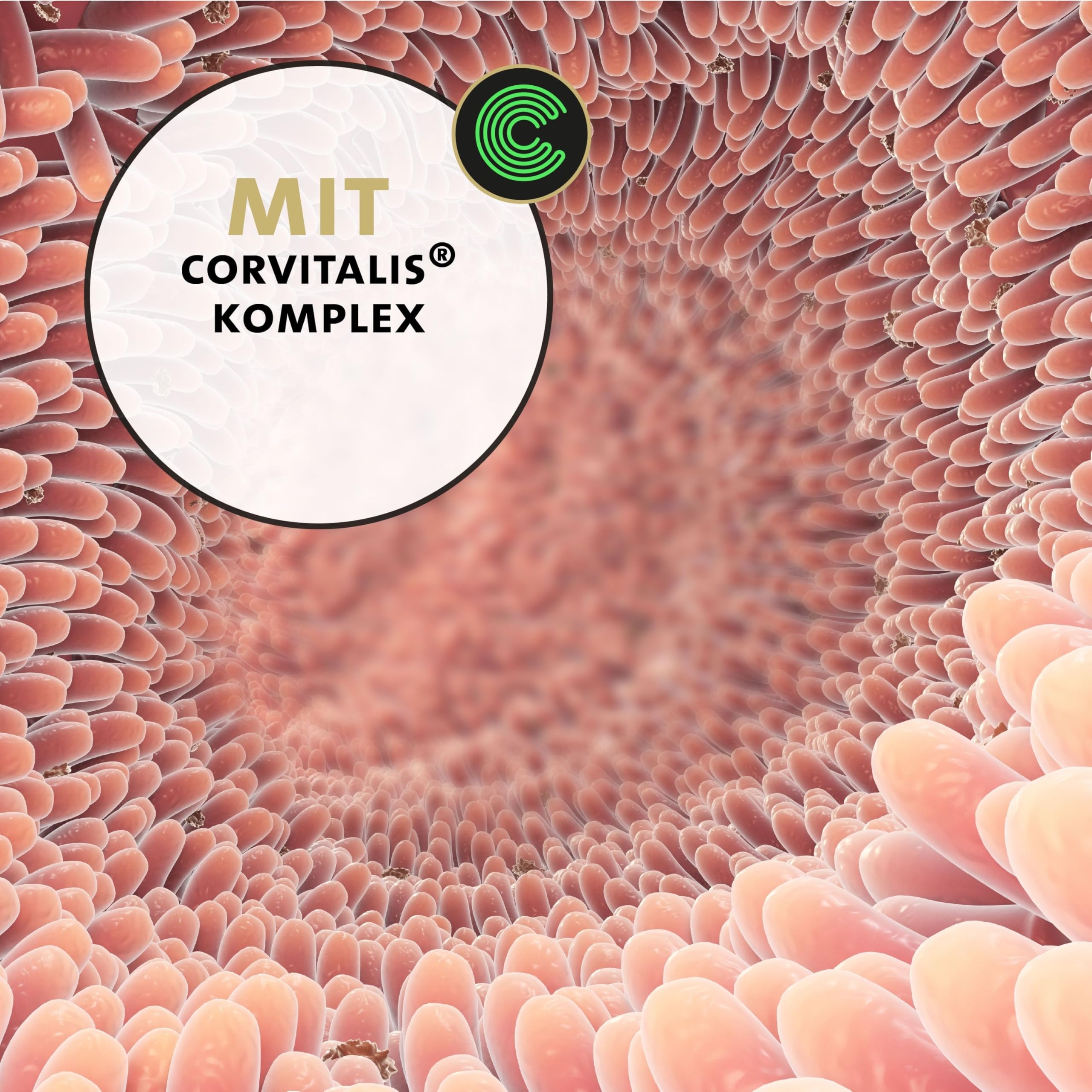 Peticare Katzen Präbiotika & Probiotika | Immunsystem stärken, Darmsanierung, Darmflora aufbauen | lindert Allergie-Anfälligkeit & Juckreiz | mit innovativem Corvitalis® Komplex - petCat Health 3501