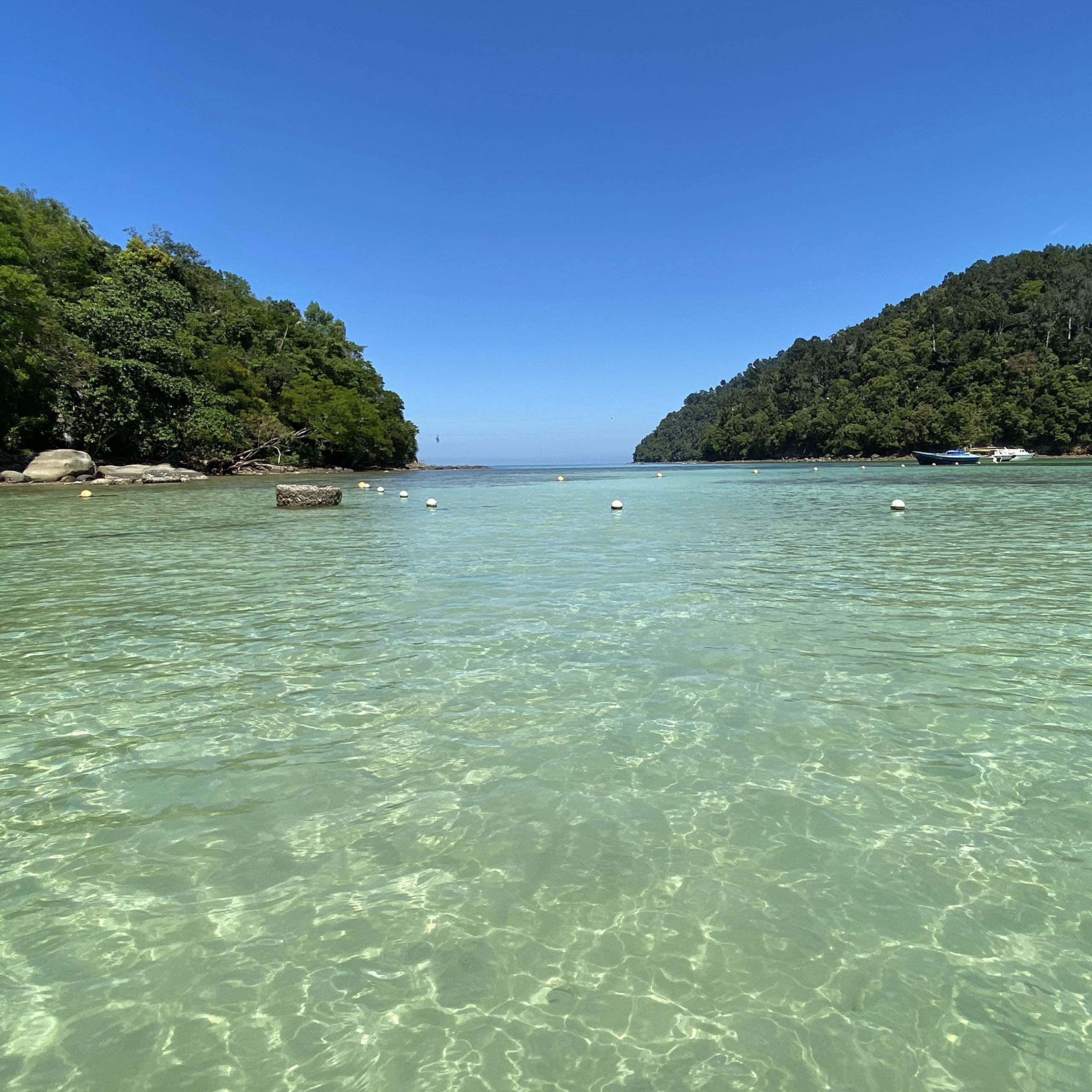 Ric Flair Drip (Instrumental) song by B Lou from Ric Flair Drip ...