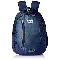Devagabond Rebond Shine 30 L Capacity Polyester Casual Backpack (Blue)