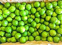 Vista 5 de KEJORA Limas frescas (5 libras)