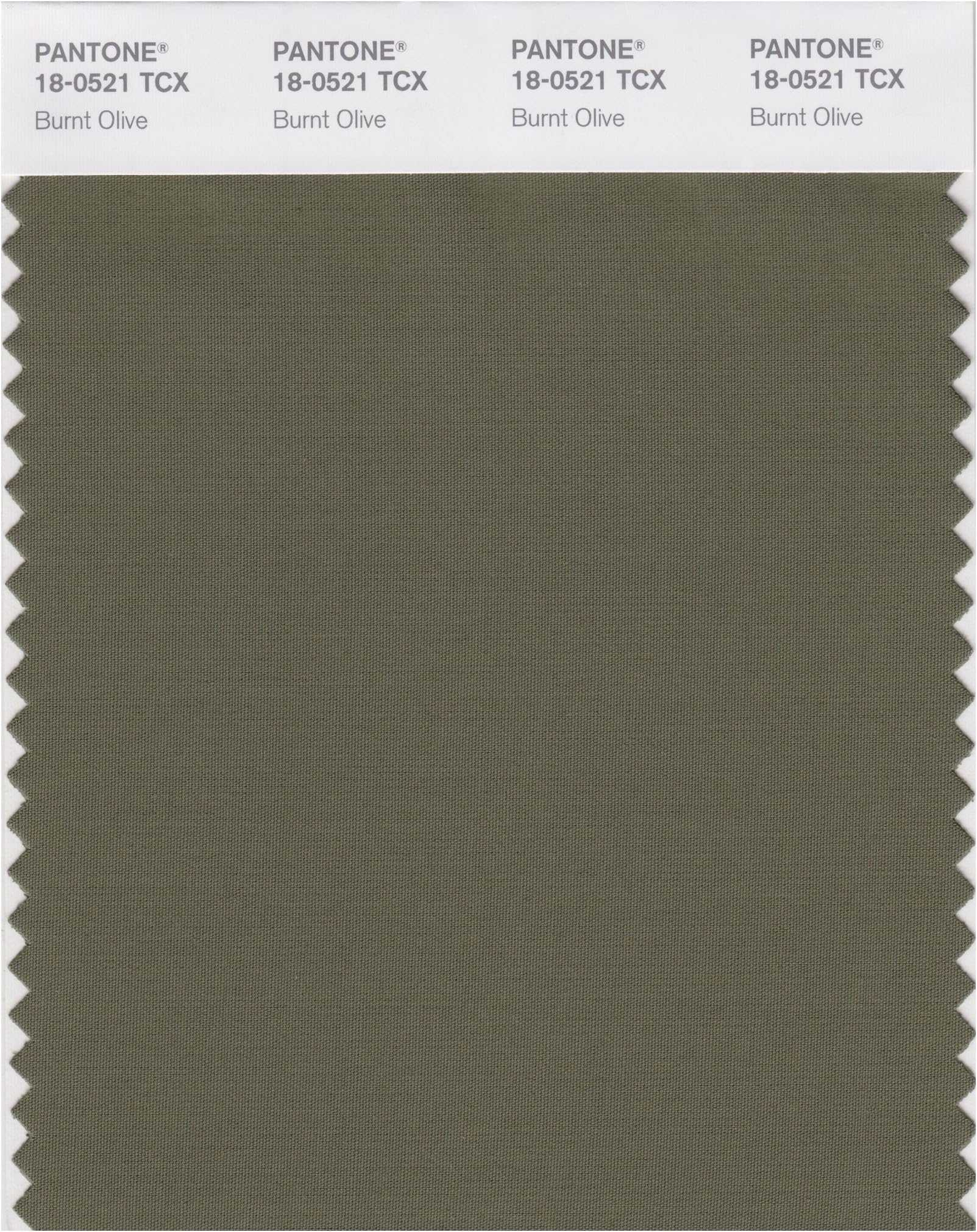 PANTONE SMART 18-0521X Color Swatch Card, Burnt Olive