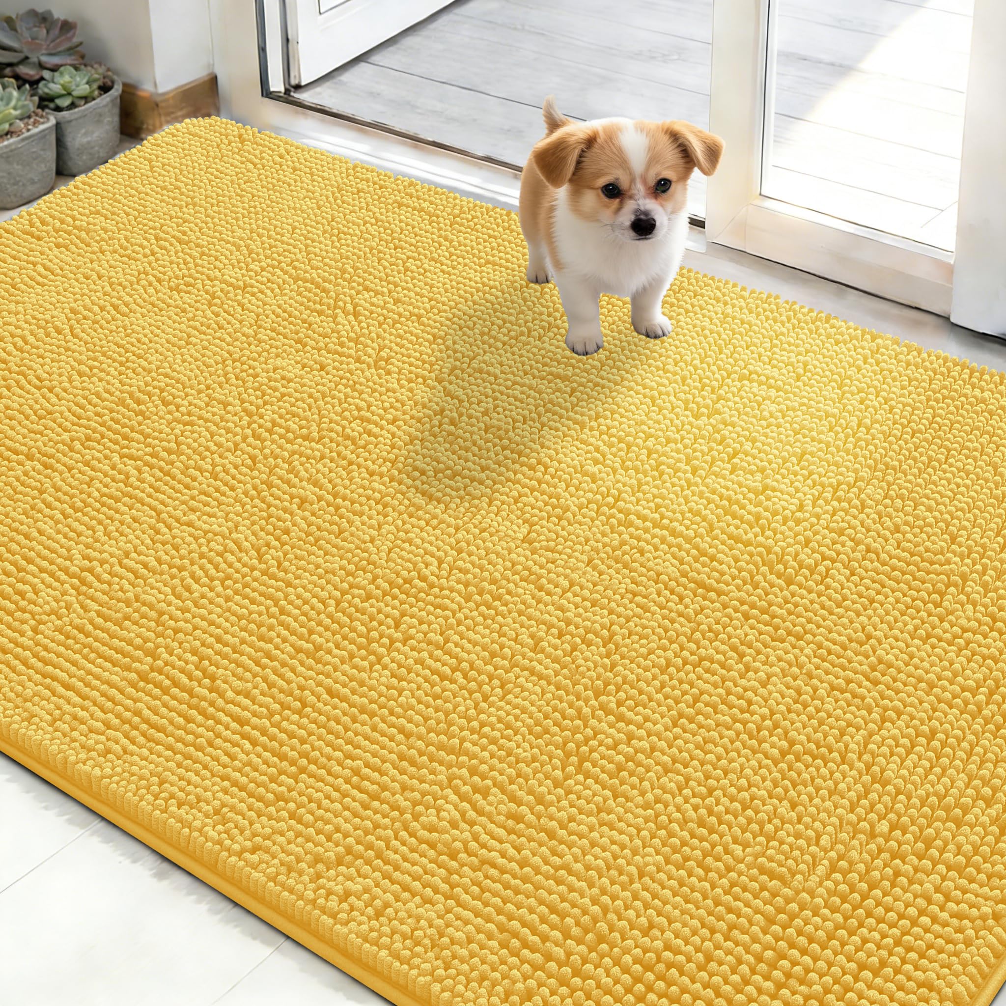 OLANLY Dog Door Mat for Muddy Paws 48x30, Super Absorbent Chenille Mud Mat