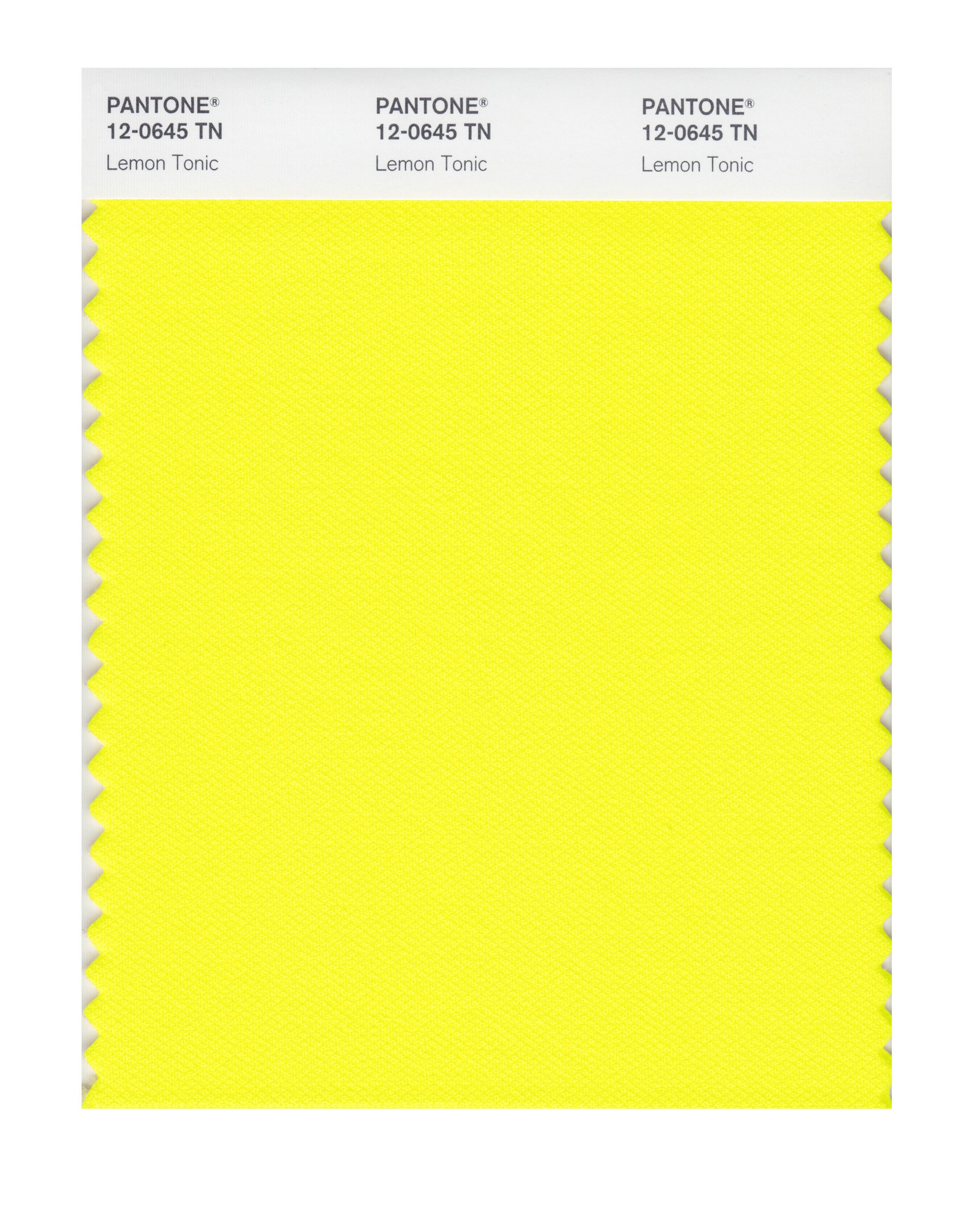 Pantone 12-0645 Nylon Brights Color Swatch Card - House Paint