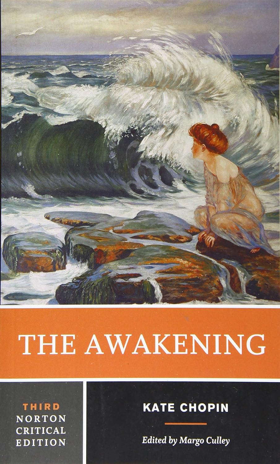 The Awakening A Norton Critical Edition 9780393617313