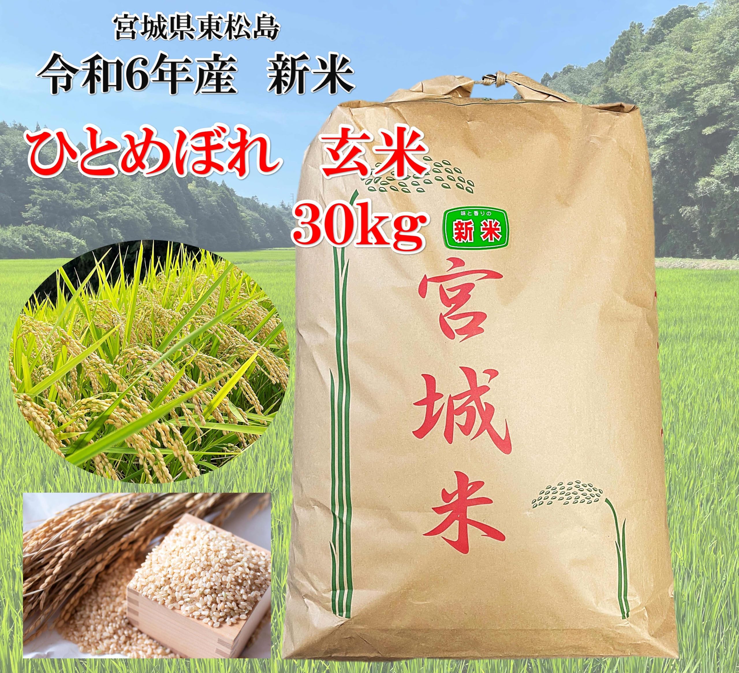 まとめ買い】 宮城県産 楽天市場】【令和6年産】玄米 ひとめぼれ 一等  