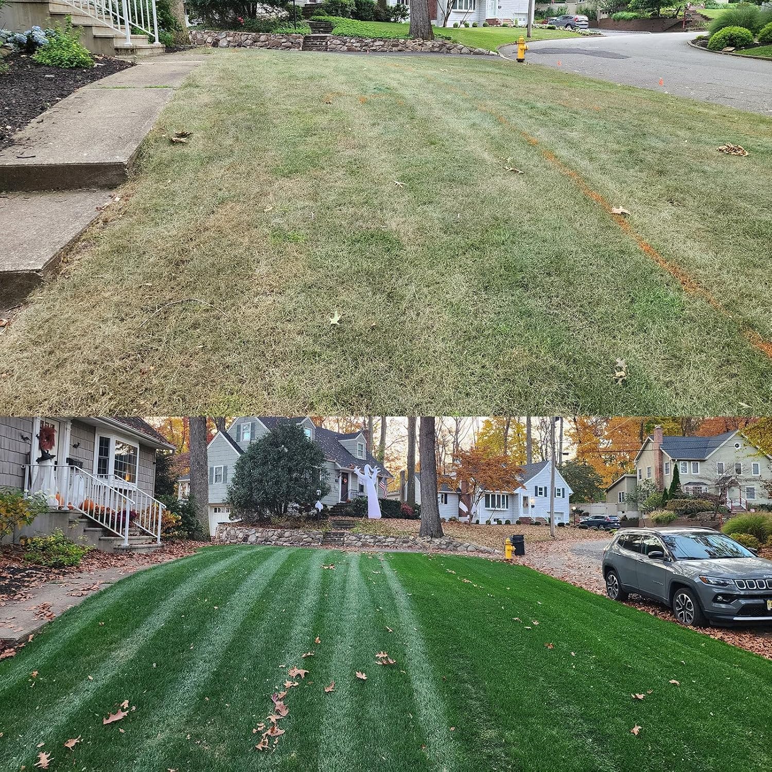 NightShift (Formerly Blackout) Turf Type Tall Fescue Grass Seed (10 lbs)