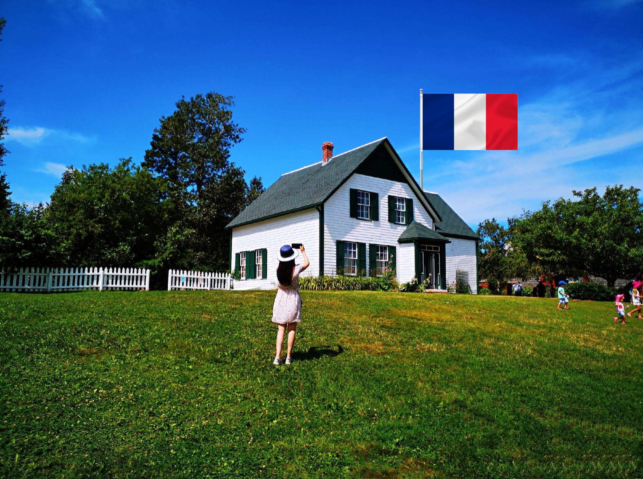 Produktbild von Plicated Amerika Französisch Frankreich Flagge 3x5 Ft Banner