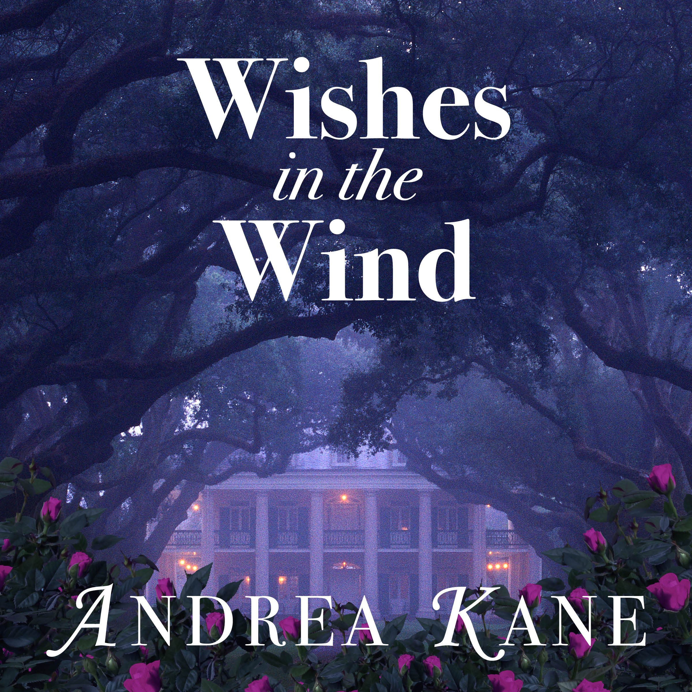 Cover art for Wishes in the Wind