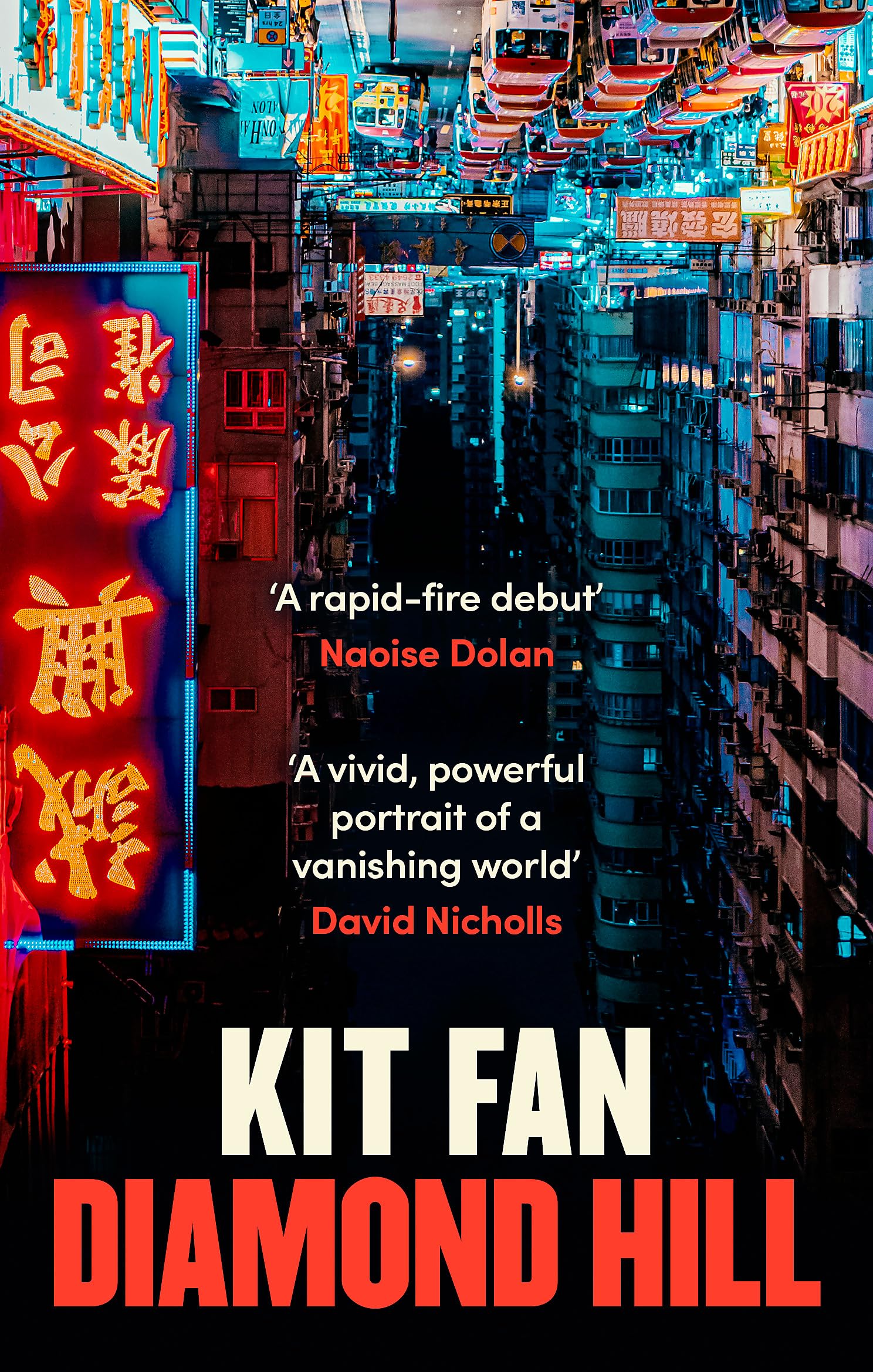 Diamond Hill: Totally unputdownable and evocative literary fiction