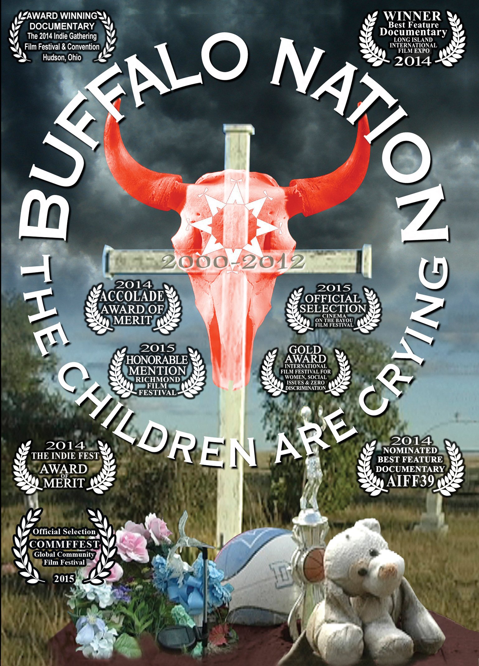 Cover of Buffalo Nation