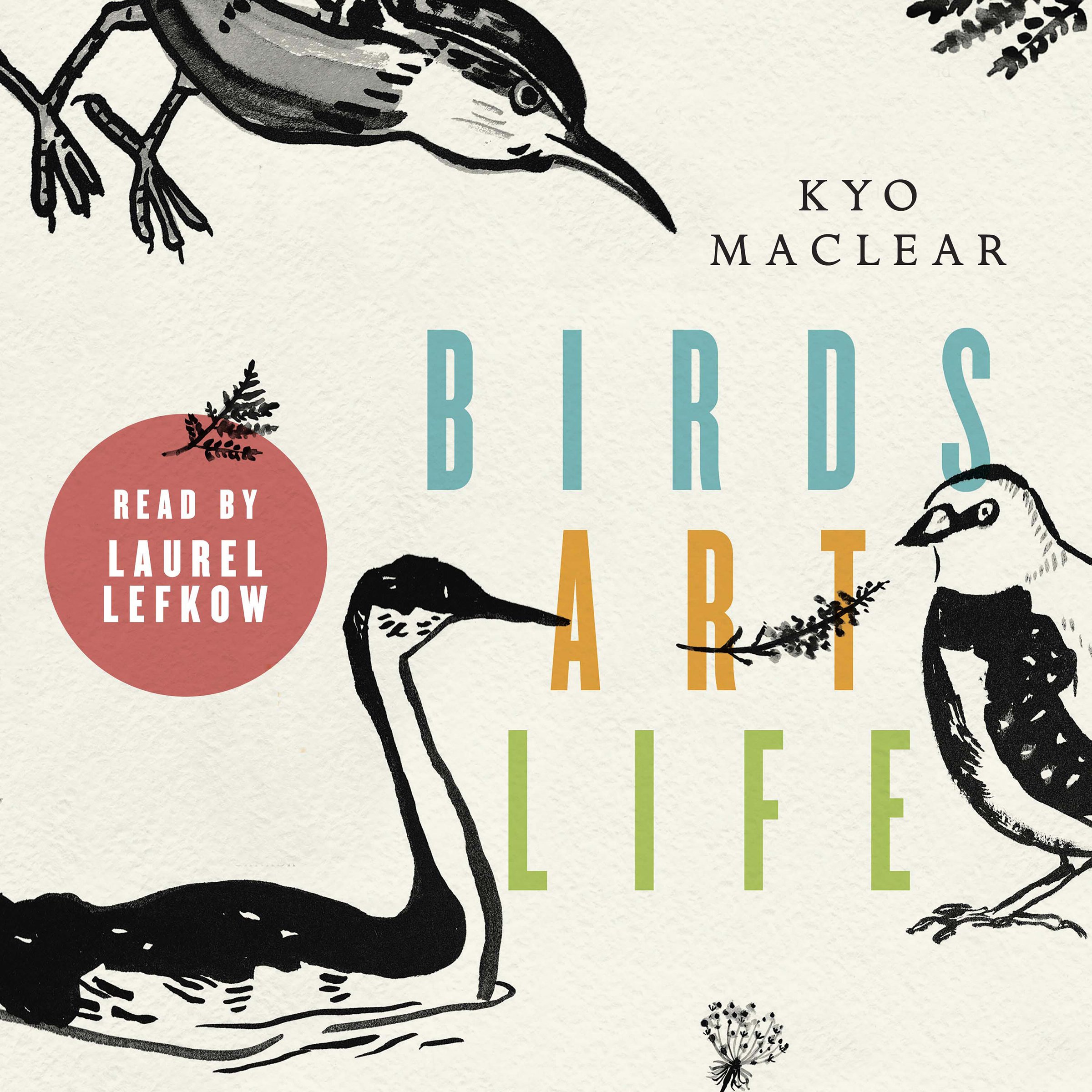 Cover art for Birds Art Life
