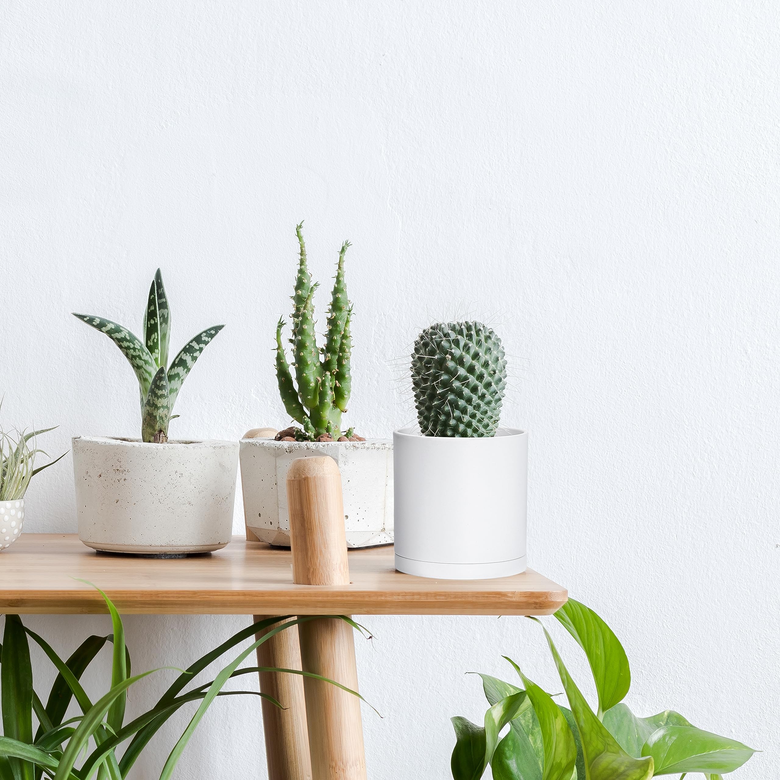 Amazon.com : D'vine Dev 2 Pack 4 Inch Modern Plastic Plant Pots
