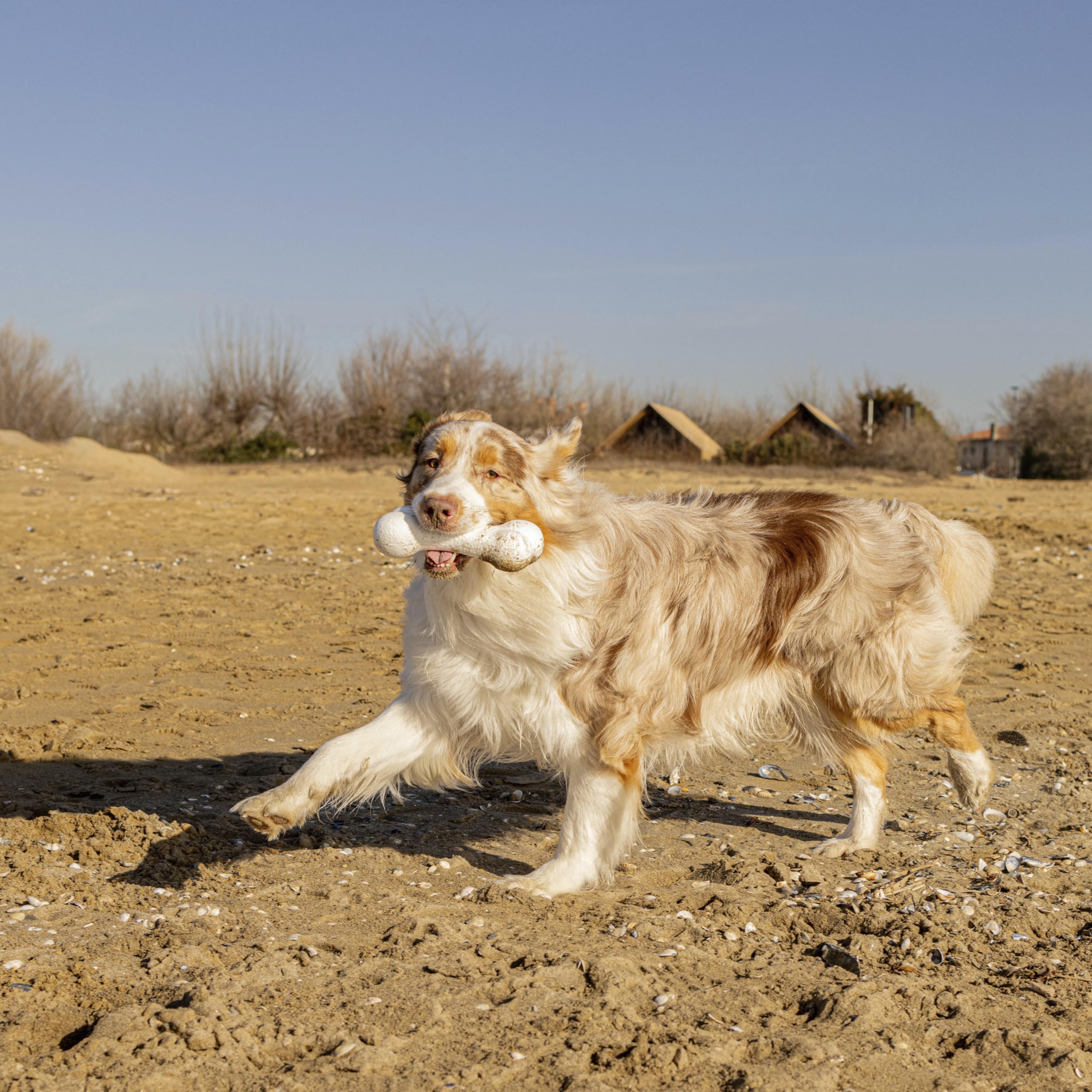 Leuk honden speelgoed! De zon is van TPR milieu vrij materiaal, zacht Leuk honden speelgoed! De zon is van TPR milieu vrij materiaal, zacht