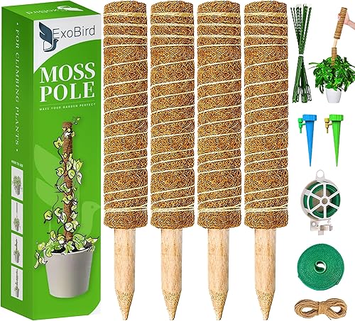 Poste de musgo para plantas Monstera 4 postes de musgo de 17 pulgadas para plantas trepadoras Poste para plantas de interior con 2 goteros y
