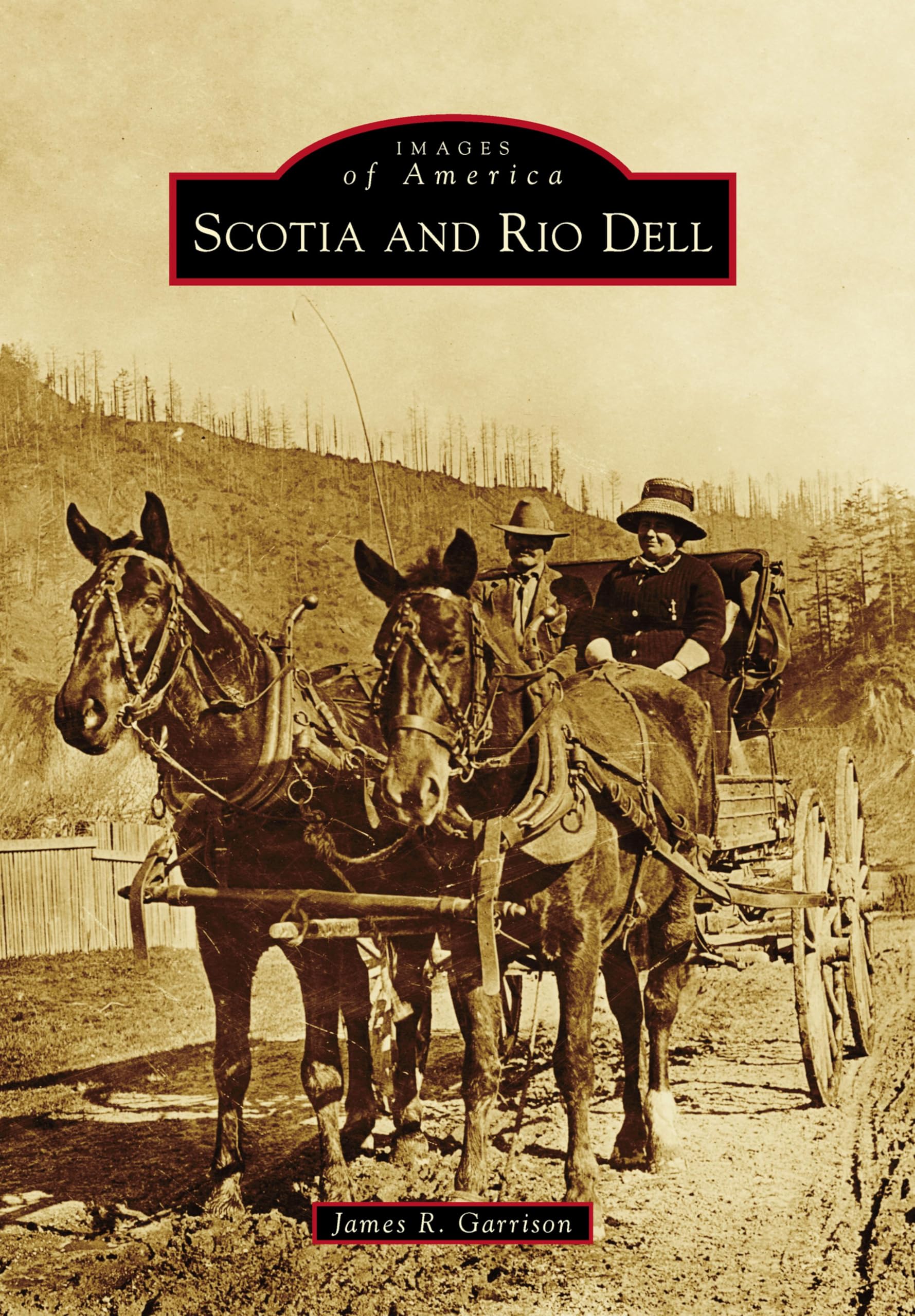 Scotia and Rio Dell Images of America livre historique en anglais sur la Californie