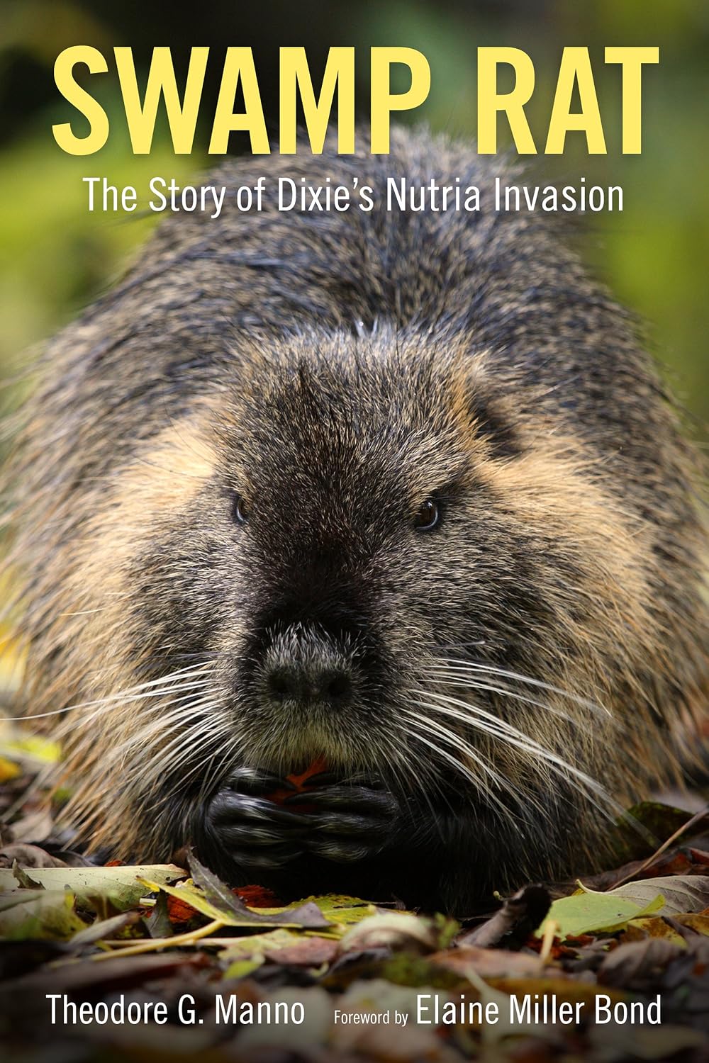 Swamp Rat: The Story of Dixie's Nutria Invasion (America's Third Coast Series)
