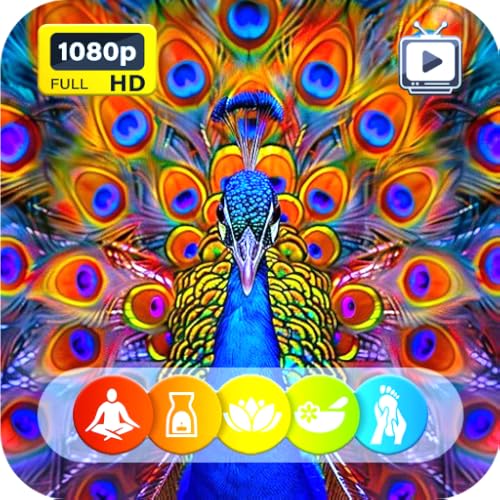Colorful Peacock TV Screensaver