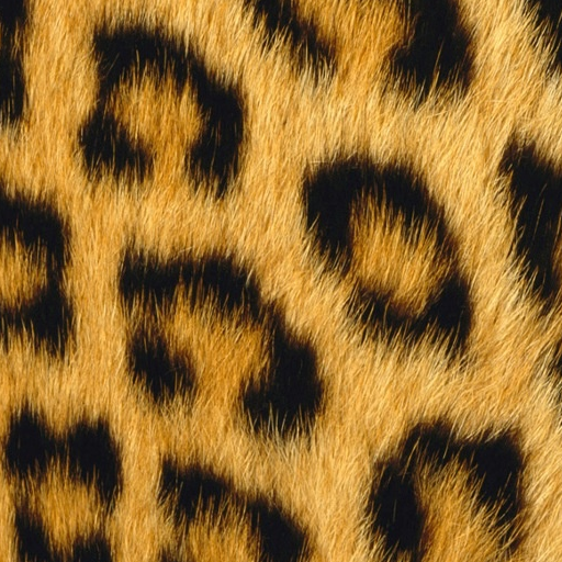 Animal Print WallpapersAmazon.co.ukAppstore for Android