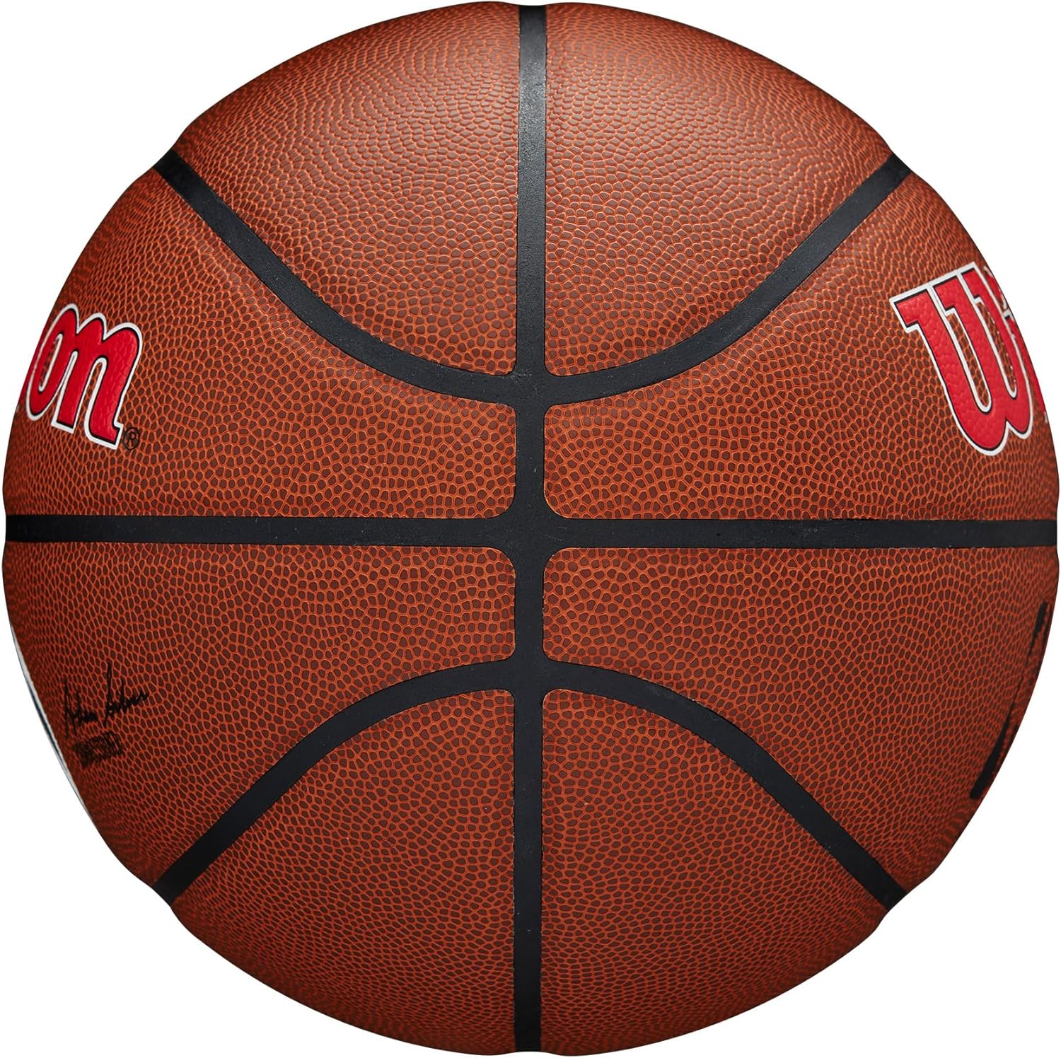 WILSON NBA Team Alliance Basketballs - Size 7-29.5"